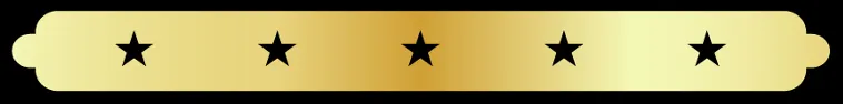 Orlando Limo Tours Five Stars Rating